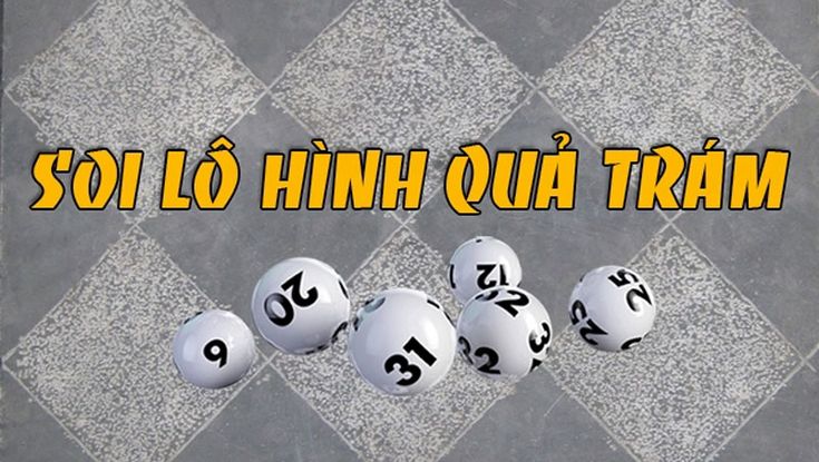 soi cau qua tram 88vin 6800fd51b16a8